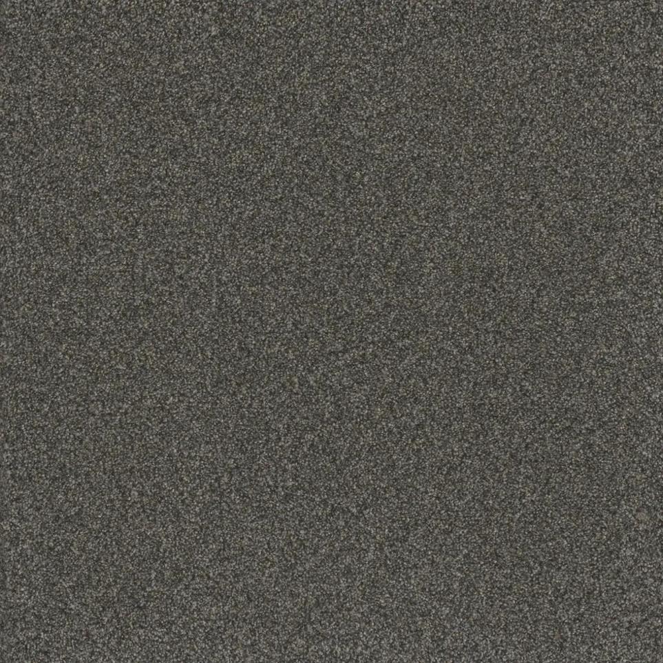 Texture Sonesta Black Carpet