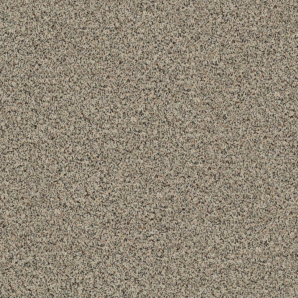 Texture Grain Beige/Tan Carpet