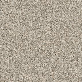 Textured Saxony Stanford Beige/Tan Carpet