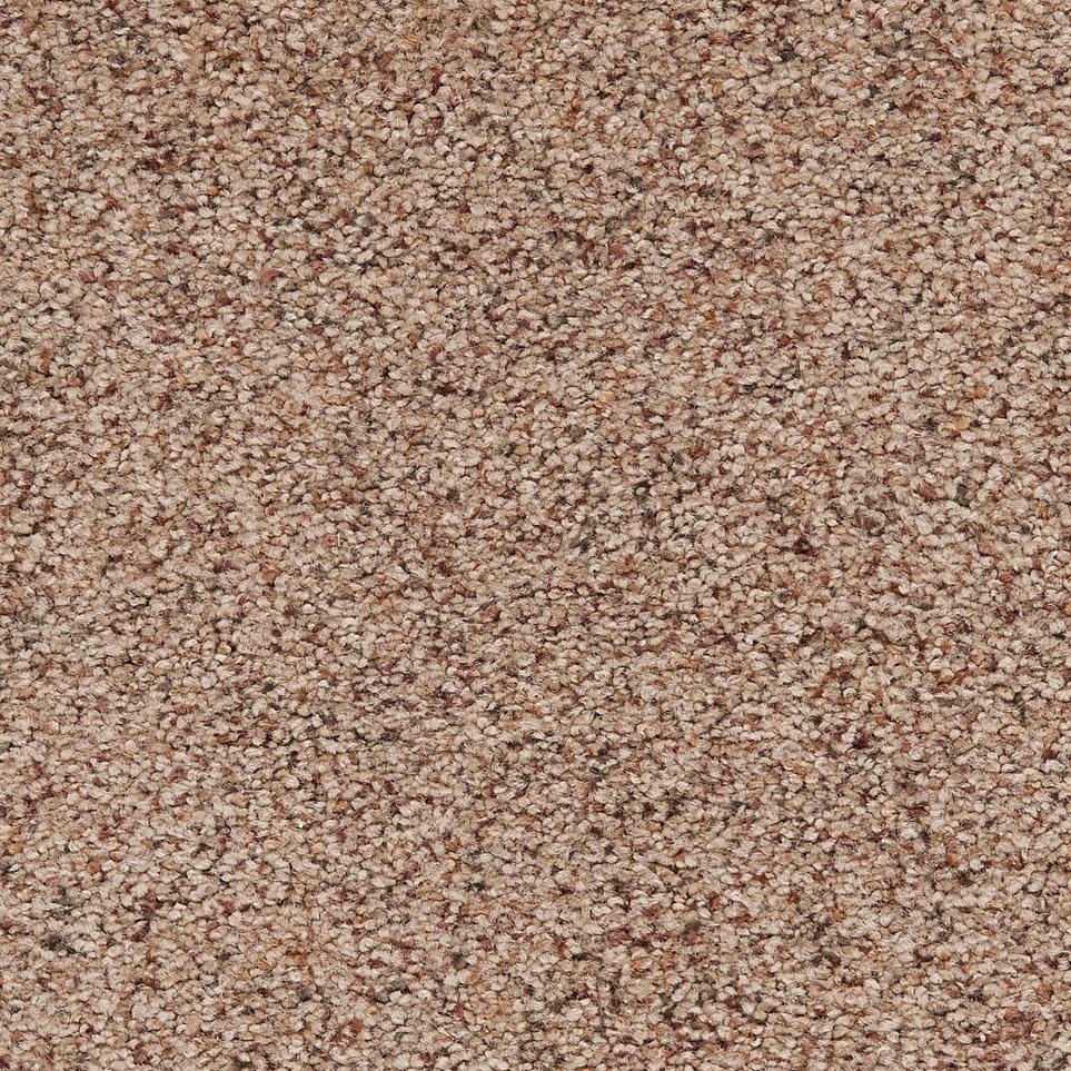 Texture Stucco Tan Beige/Tan Carpet