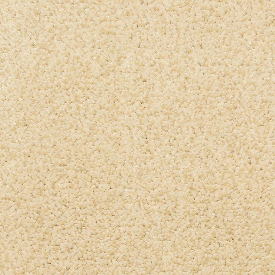 Texture Almond Beige/Tan Carpet