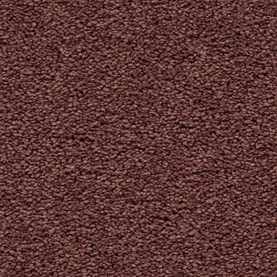 Textured Saxony Desire Red Carpet