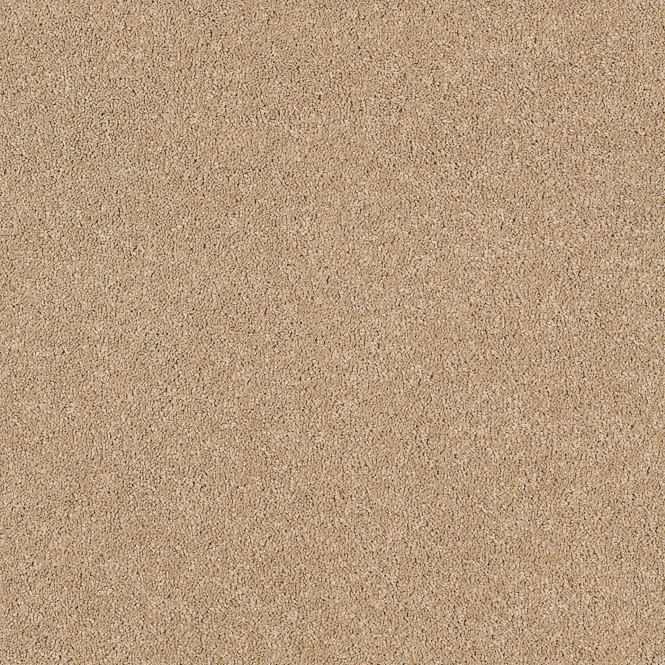 Texture Sundance Beige/Tan Carpet
