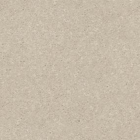 Textured Saxony Ecru Lace Beige/Tan Carpet