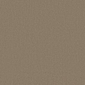 Pattern Fawnwood Beige/Tan Carpet