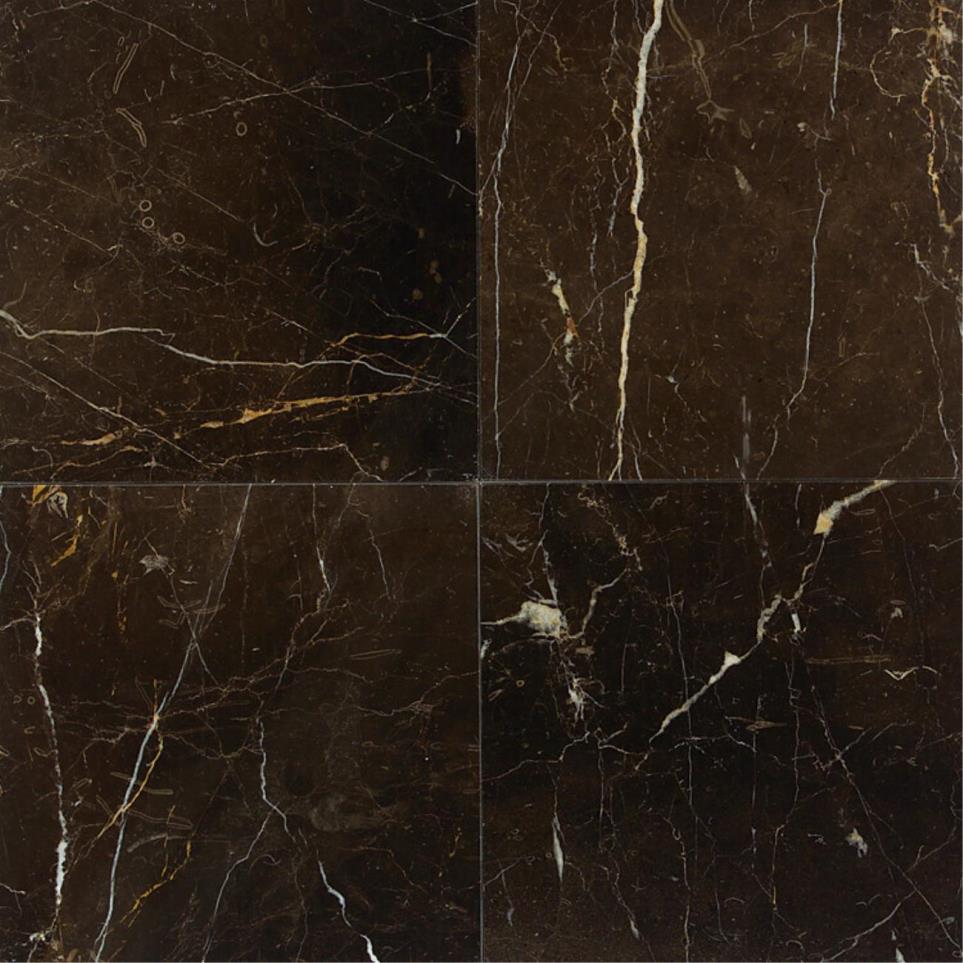 Tile St. Laurent Oriental Polished Black Tile