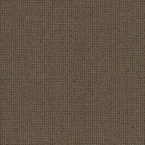Loop Aesthetic Brown Carpet