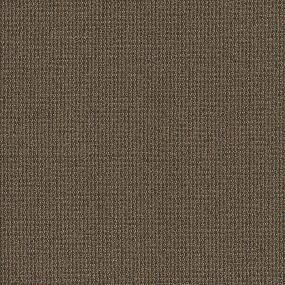 Multi-Level Loop Aesthetic Brown Carpet