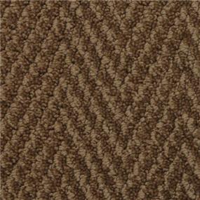 Pattern Bark Wood Brown Carpet