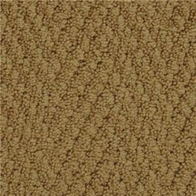 Pattern Scotch  Carpet