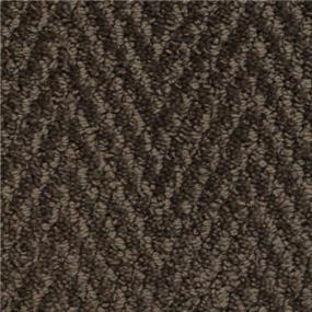 Pattern Cracked Pepper Brown Carpet