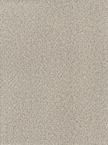 Textured Saxony Great Addition Beige/Tan Carpet