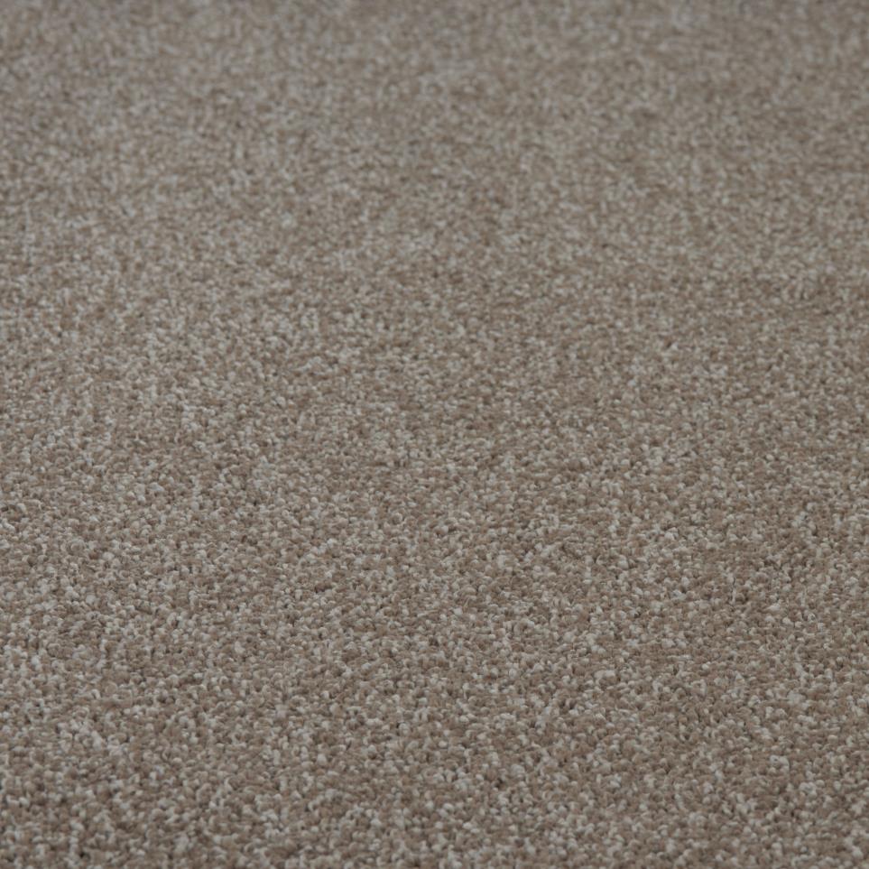 Textured Saxony Dockside Beige/Tan Carpet