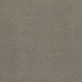 Textured Saxony Impressive Brown Carpet