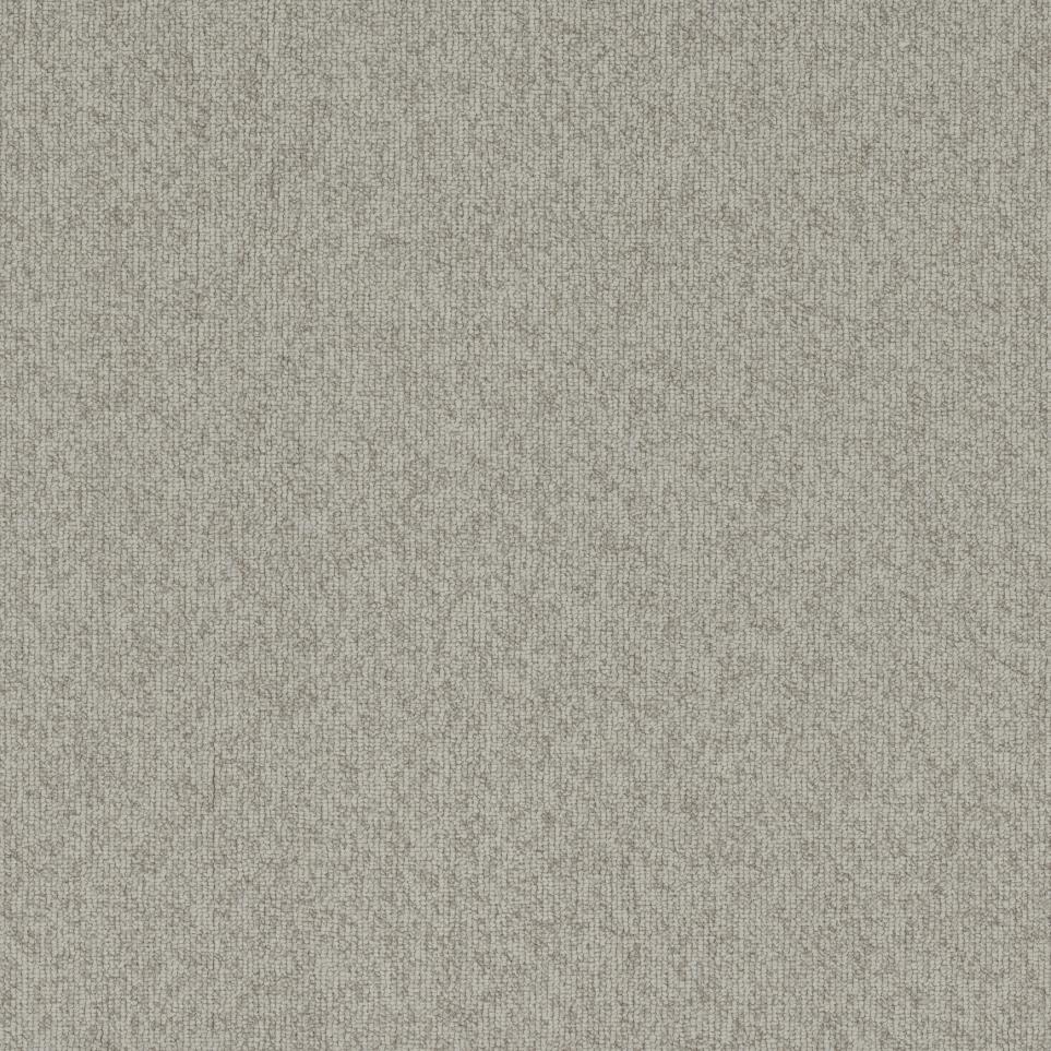 Loop Bonanza Gray Carpet