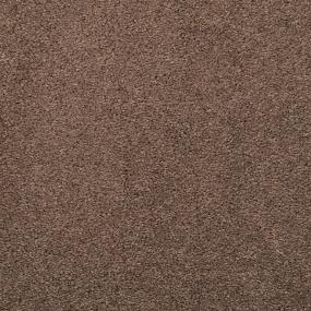 Casual Texture Boulder Brown Carpet