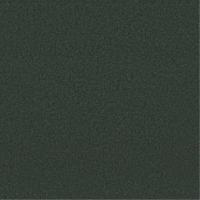 Textured Saxony Pine Needle Green Carpet