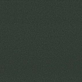 Textured Saxony Pine Needle Green Carpet