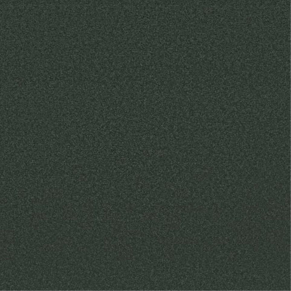 Textured Saxony Pine Needle Green Carpet