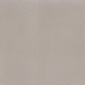 Pattern Vanilla Beige/Tan Carpet