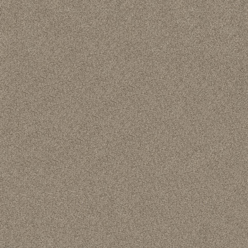 Sepia Beige/Tan Carpet