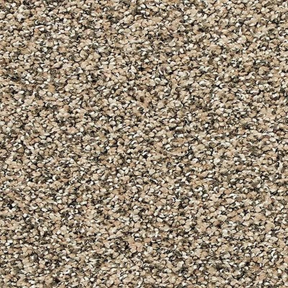Textured Saxony Hearthstone Brown Carpet
