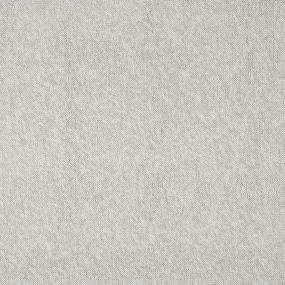 Silver Mink  Carpet