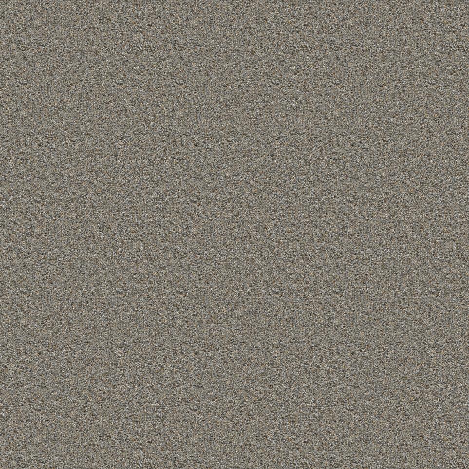 Texture Campus Gray Carpet