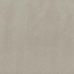 Textured Saxony Envision Beige/Tan Carpet