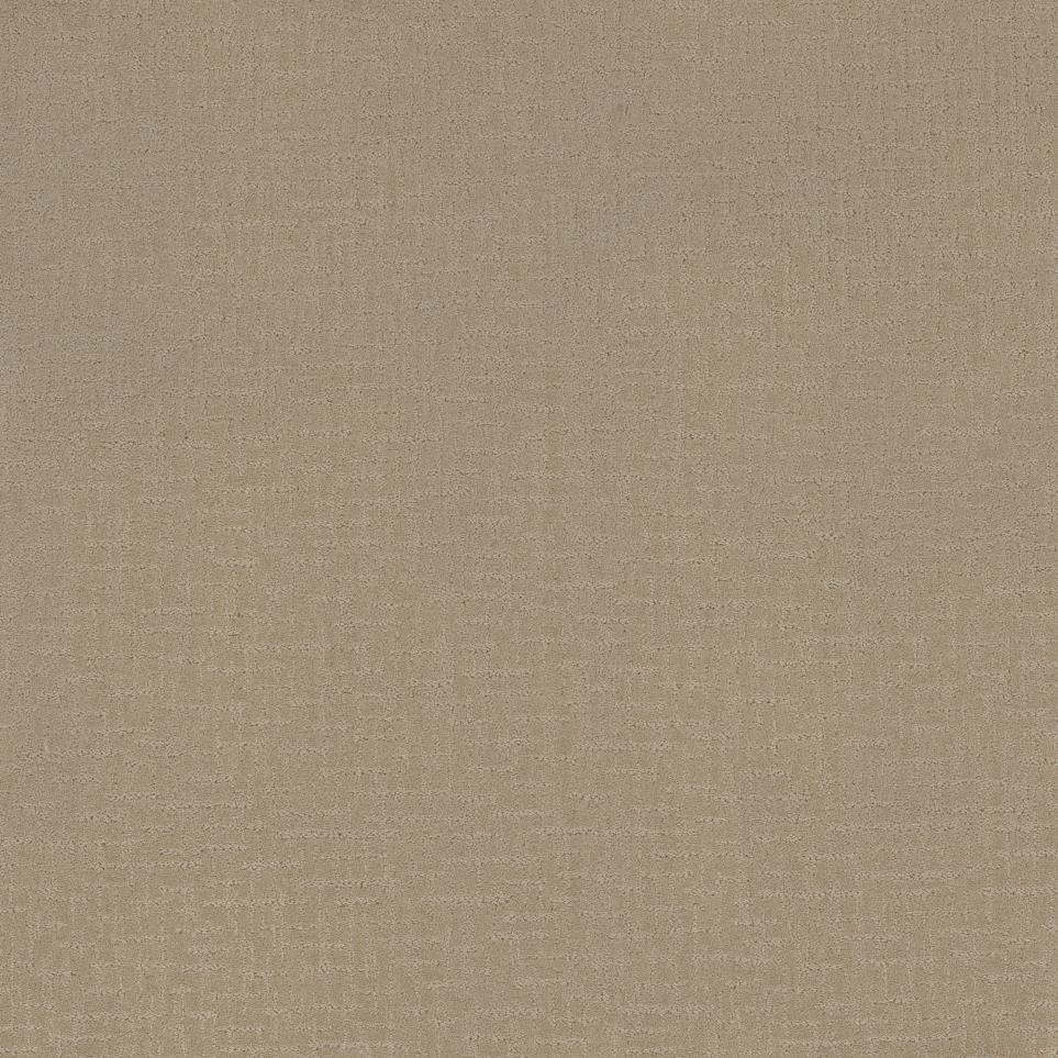 Pattern Rare Beauty Beige/Tan Carpet