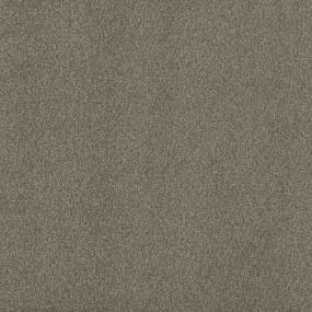 Casual Texture Theatre Beige/Tan Carpet