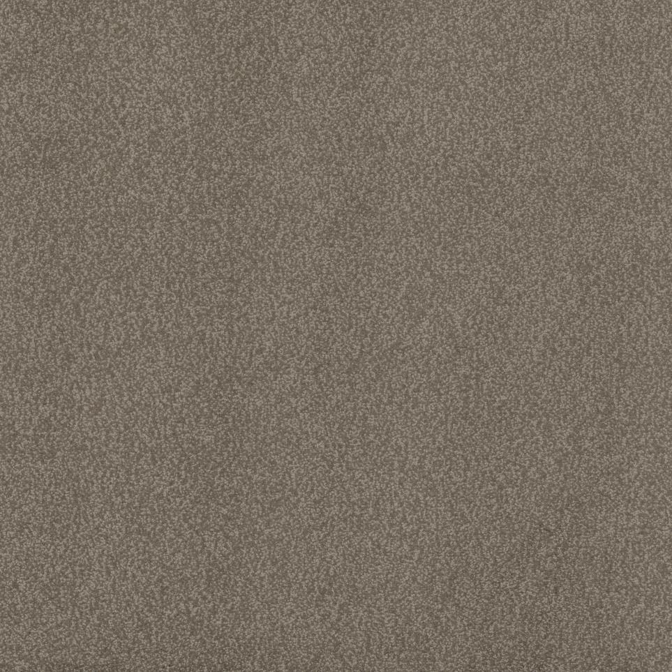Casual Texture Theatre Beige/Tan Carpet