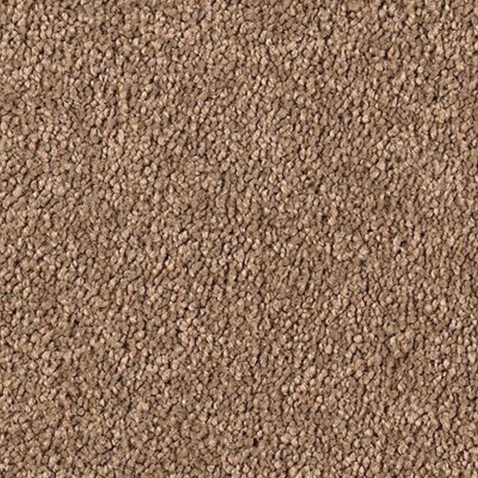 Textured Saxony Performance Brown Carpet