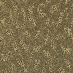 Pattern Shale Brown Carpet