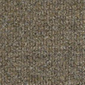 Pattern Sierra Sand Beige/Tan Carpet