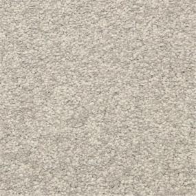 Casual Texture Falcon Grey Gray Carpet
