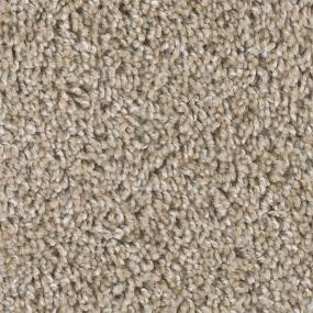 Textured Saxony Dynasty Beige/Tan Carpet