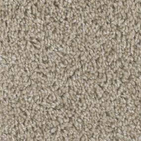 Textured Saxony Dynasty Beige/Tan Carpet