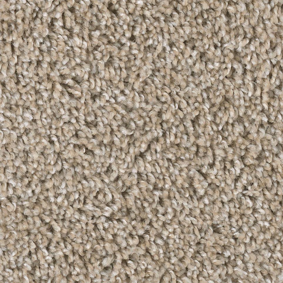 Texture Dynasty Beige/Tan Carpet