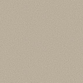 Textured Saxony Birch Beige/Tan Carpet