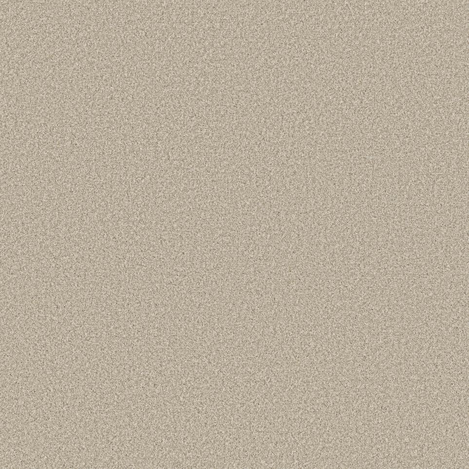 Texture Birch Beige/Tan Carpet
