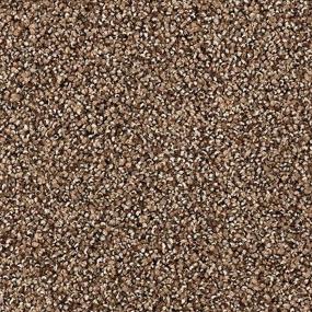 Textured Saxony Sequoia Brown Carpet