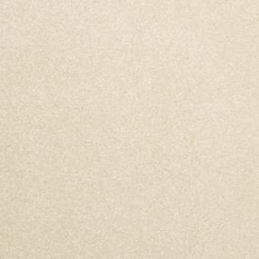 Textured Saxony Matchstick Beige/Tan Carpet