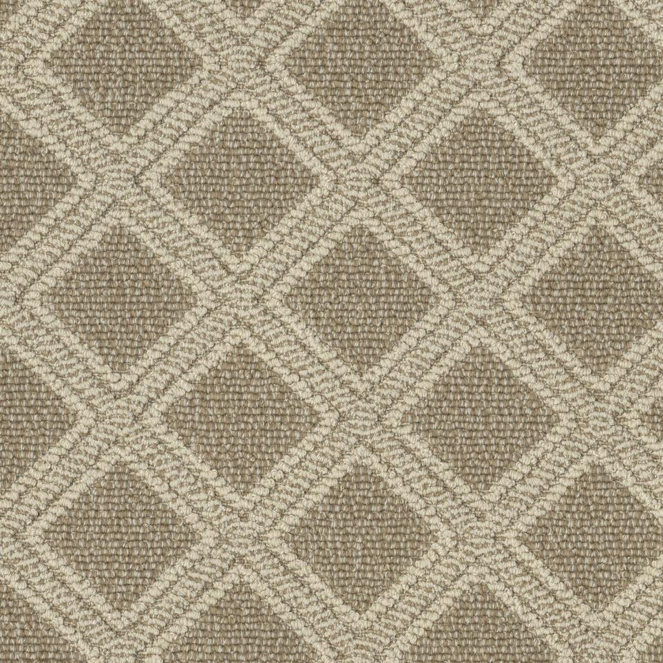 Loop Autumn Tones Beige/Tan Carpet