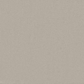 Textured Saxony Veil Beige/Tan Carpet