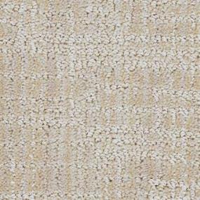 Pattern Distinct Beige/Tan Carpet