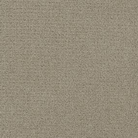 Pattern Enduring Brown Carpet