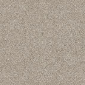 Casual Texture Believable Buff Beige/Tan Carpet