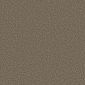Textured Saxony Chaps Brown Carpet