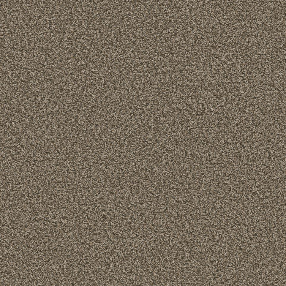 Texture Chaps Brown Carpet